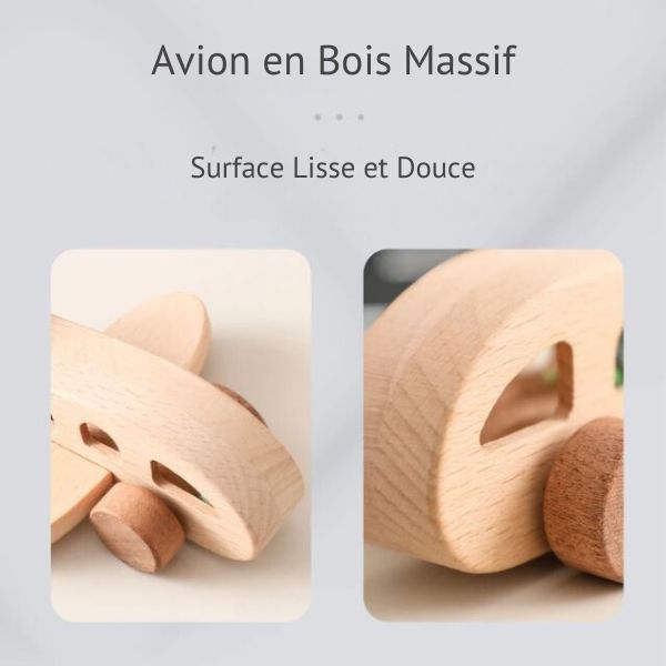 Avions en Bois Premier Âge