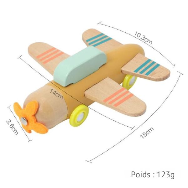 Avions en Bois Premier Âge