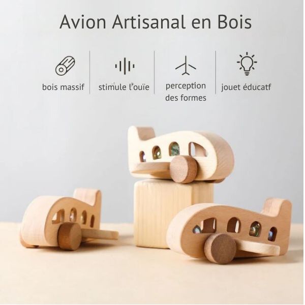 Avions en Bois Premier Âge