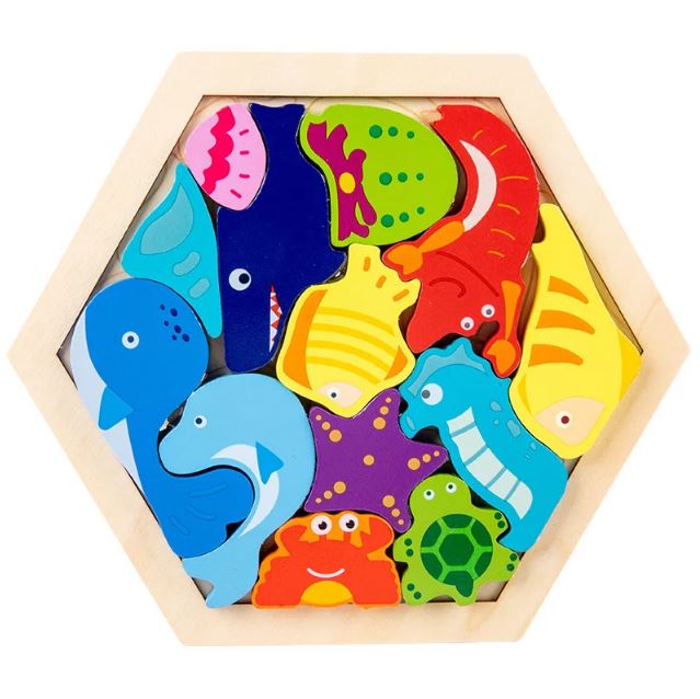 Puzzles Educatifs en Forme d’Hexagone