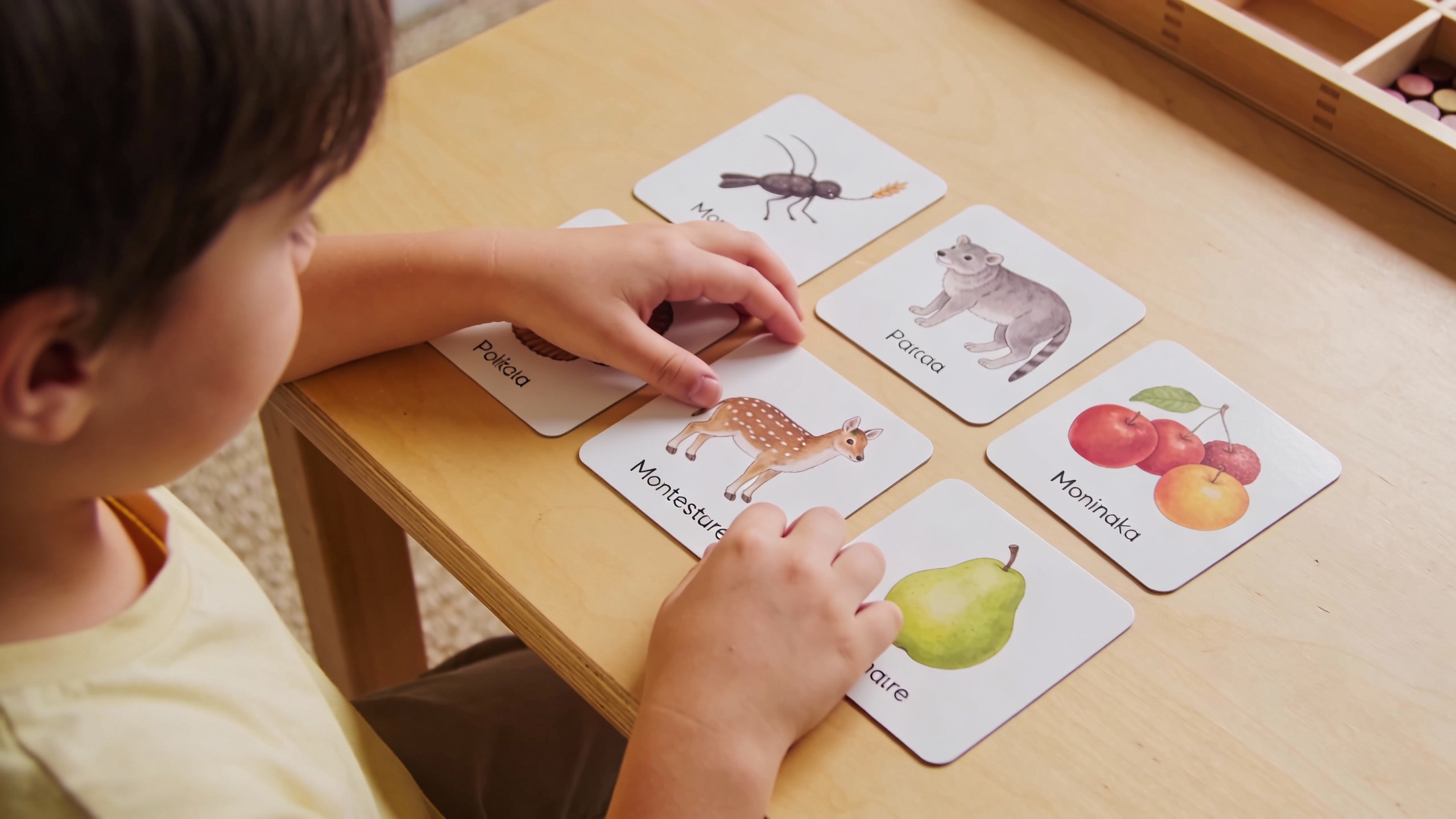 Cartes nomenclature Montessori pdf